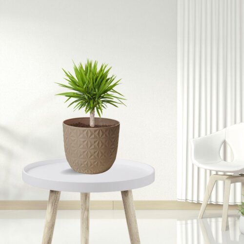 Diamond Mocha Planter (Set of 3) - Image 2