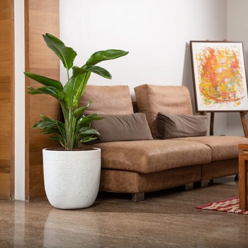 Milano Natural Stone Planter (30 CMS) - Image 2