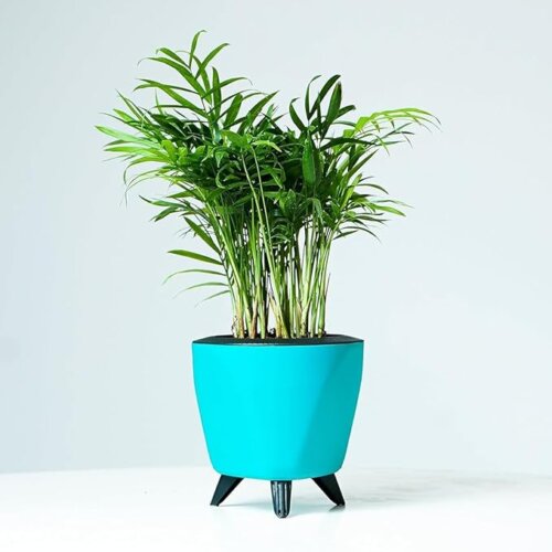 Lagos Teal (Set of 3) - Image 2