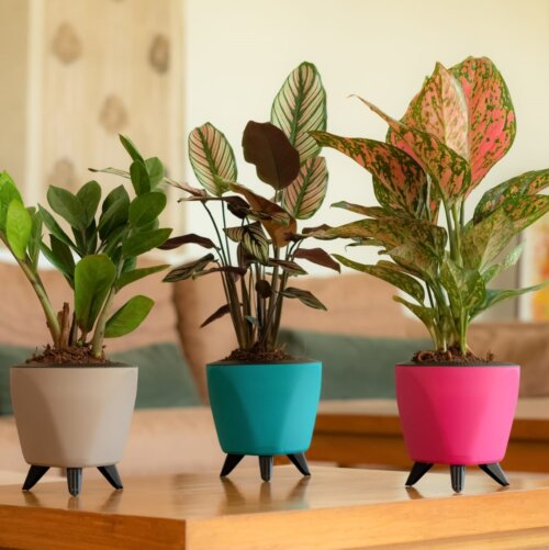 Lagos Teal (Set of 3) - Image 3