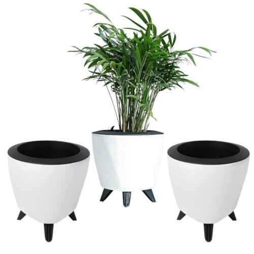 Lagos White (Set of 3)