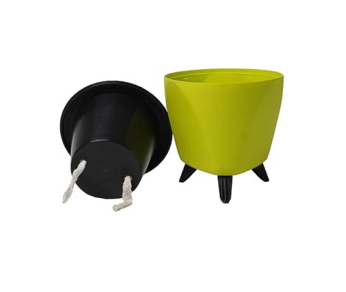 Lagos Yellow (Set of 3) - Image 3