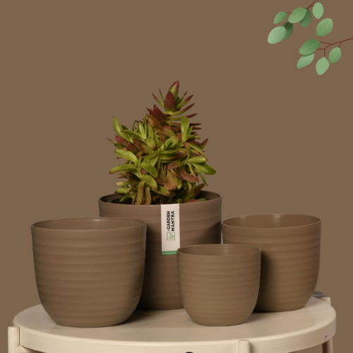 Wave Mocha Planter (Set of 4) - Image 4