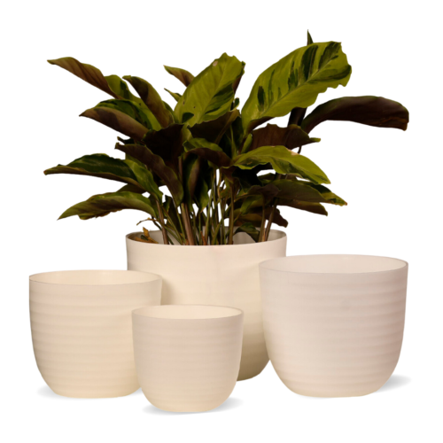 Wave White Planter (Set of 4)