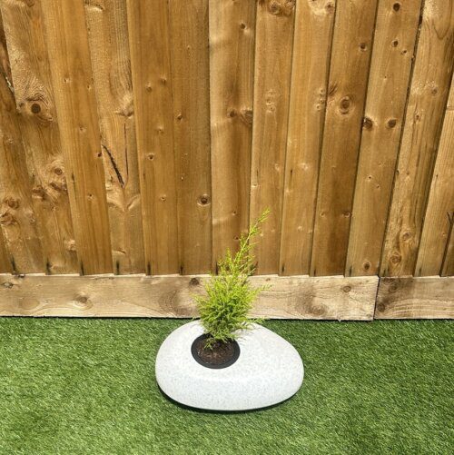 Pebble Natural Stone 45 CMS - Image 3